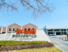 成了不雅众看得懂的言语